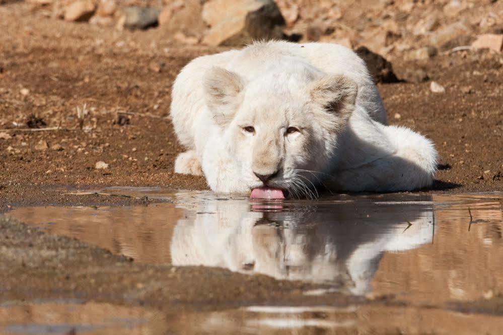 Bona Bona Game Lodge Wolmaranstad 외부 사진